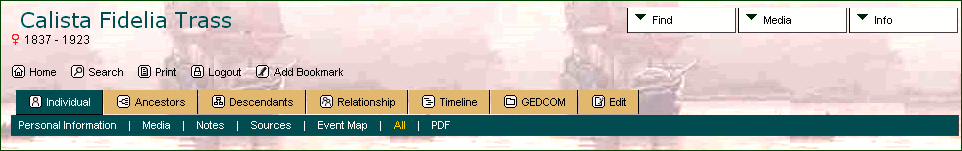 Individual Tabs